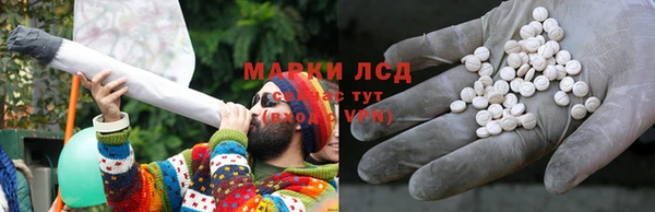 гашик Арсеньев