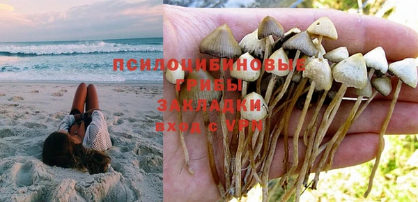 jwh Алзамай