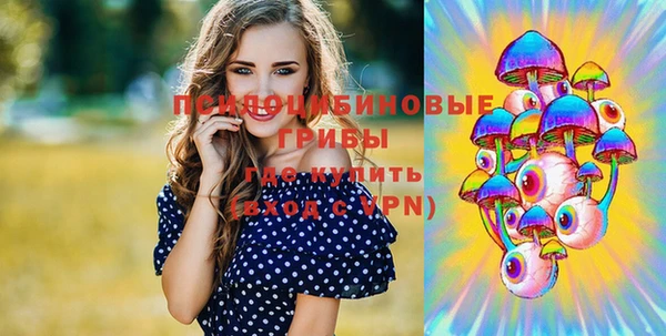 не бодяженный Алексин