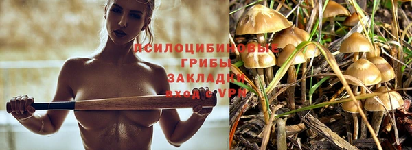 экстази Алексеевка