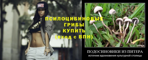 не бодяженный Алексин